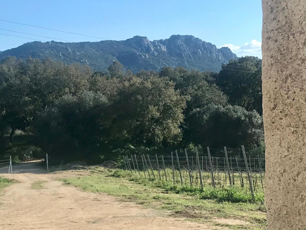 Elegant Country Open Space Deluxe Tenuta Piredu -Monti-Olbia Экстерьер фото
