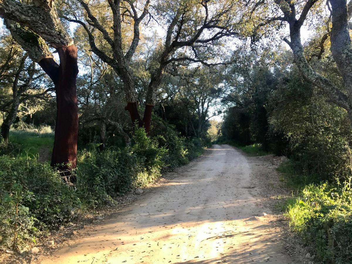 Elegant Country Open Space Deluxe Tenuta Piredu -Monti-Olbia Экстерьер фото